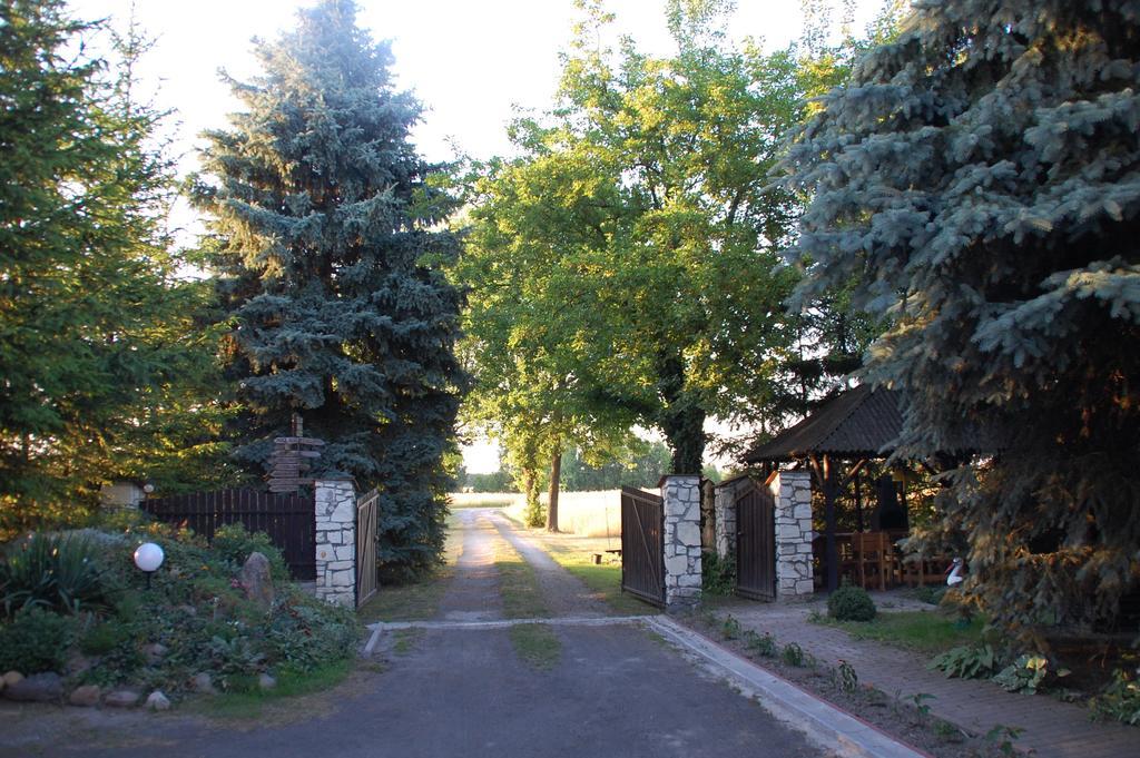 Agroturystyka Pod Swierkami Nadrybie Exterior photo
