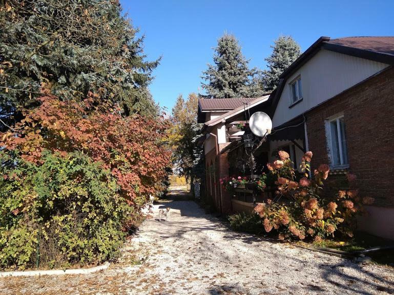 Agroturystyka Pod Swierkami Nadrybie Exterior photo